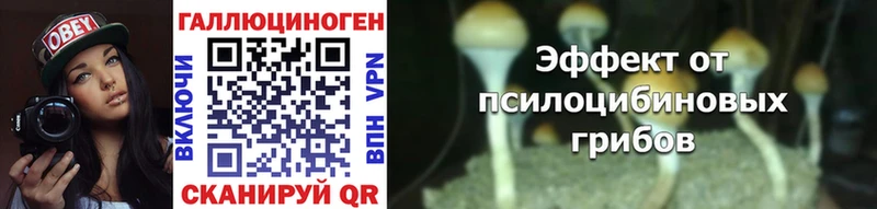 Псилоцибиновые грибы прущие грибы  Барабинск 